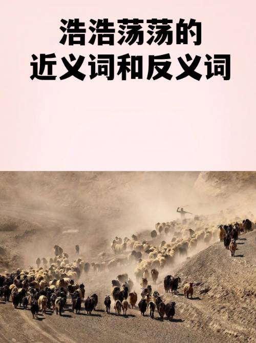 开云体育-2鶄&amp;;.b|)愤的简单介绍